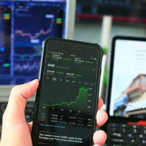 Stockwise Investor Program